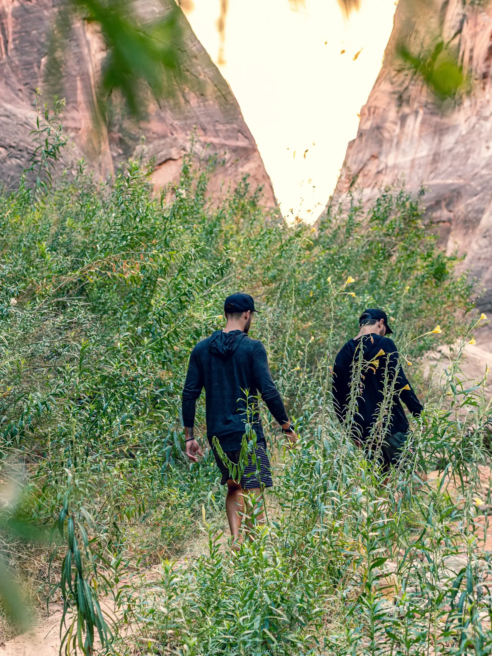Two men hiking through a green, rocky canyon with tall cliffs in the background.